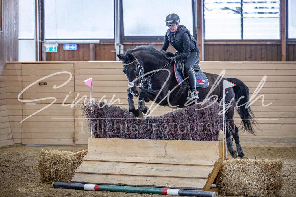 20260221-_3LI8612 | Tierfotografie Pferde, Hunde, Katzen, Haustiere.
Turnierfotografie Reitturniere, Reiten, Springreiten, Dressur in Hanau, dem Main-Kinzig-Kreis und dem Rhein-Main- Gebiet um Frankfurt