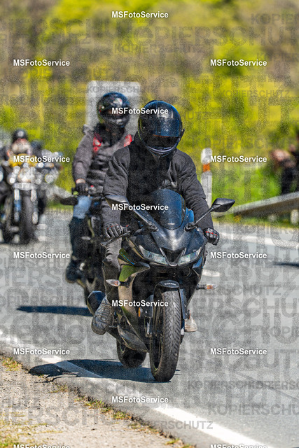 MSFotoServiceXXX454 | MSFotoService - Realisiert mit Pictrs.com