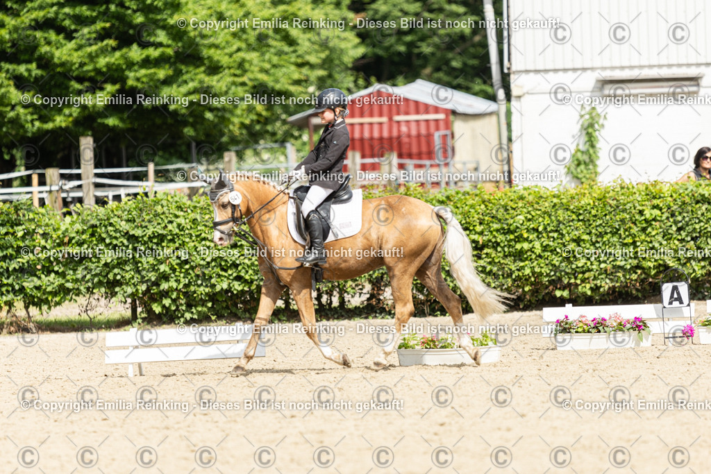 CL5A1485 | Emilia Reinking Fotografie - Realisiert mit Pictrs.com