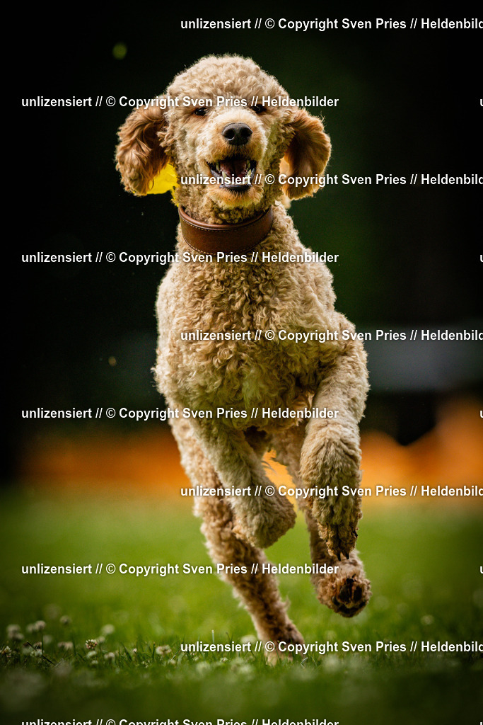 Sven Pries | 2025-05-29 - Pudelrennen KA-Durlach - Realisiert mit Pictrs.com