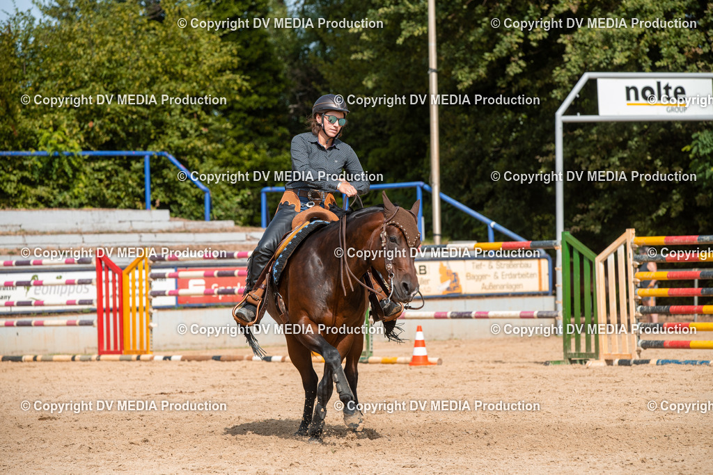 EWP_5875 | dv-media-shop - Realisiert mit Pictrs.com