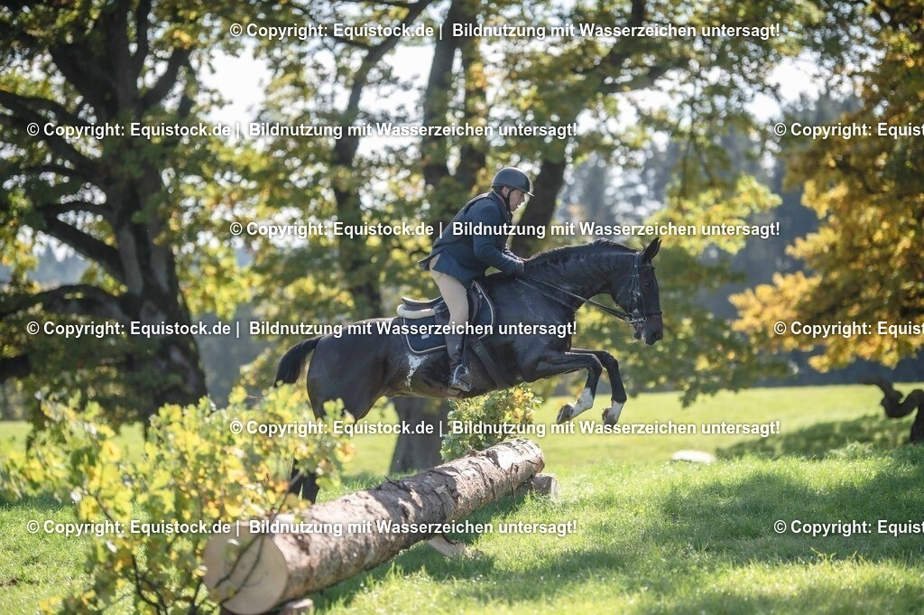 20251011_Jagd-Marbach_0440 | Foto: Thomas Hartig