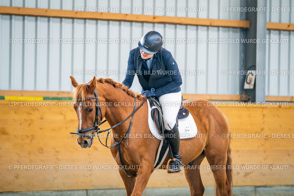 DSC01065 | Pferdegrafie