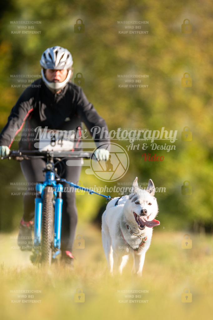 CDLBDB_15_10_2023_Dimanche-201 | PayLife