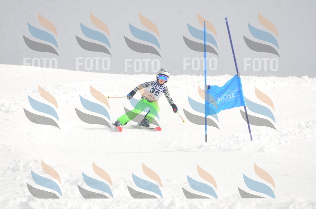 A5249 | holidayphoto