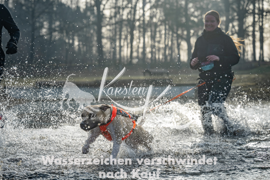 0832_ZZ97317 | kk-dogfotos