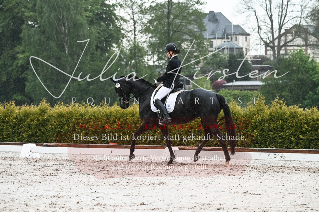 DSC_4720 | Pferde- und Turnierfotografie in Westsachsen. Pferdeportraits, Auftragszeichnungen und intuitive Kunst.