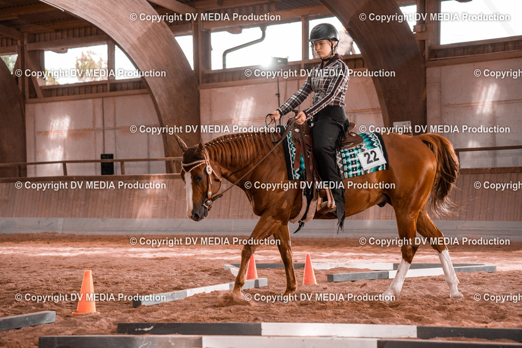 NE200254 | dv-media-shop - Realisiert mit Pictrs.com