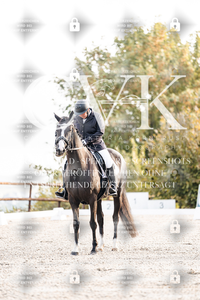 CK900268 | Turnierfotografie Pferdefotografie Trier Rheinland-Pfalz Pferdesport Reitsport Tierfotografie Sportfotografie Pferdevideo Pferdevideografie Equestrianvideography equestrianphotography  - Realisiert mit Pictrs.com