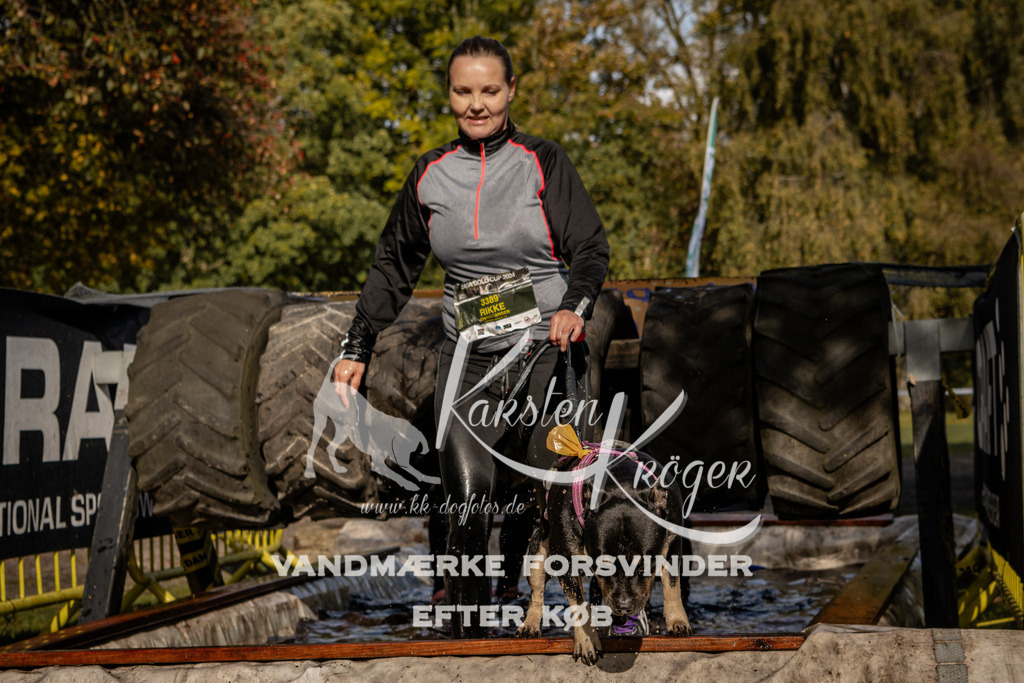 1302_ZZ91692 | kk-dogfotos