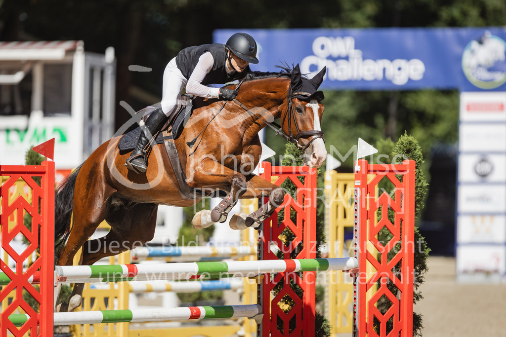 230907_OWLCh_Amateur-S-660 | Deine schönsten Turniermomente als professionelle Fotos! Entdecke hochwertige Pferdesport-Fotografie im Online-Shop. Jetzt Fotos finden & bestellen!