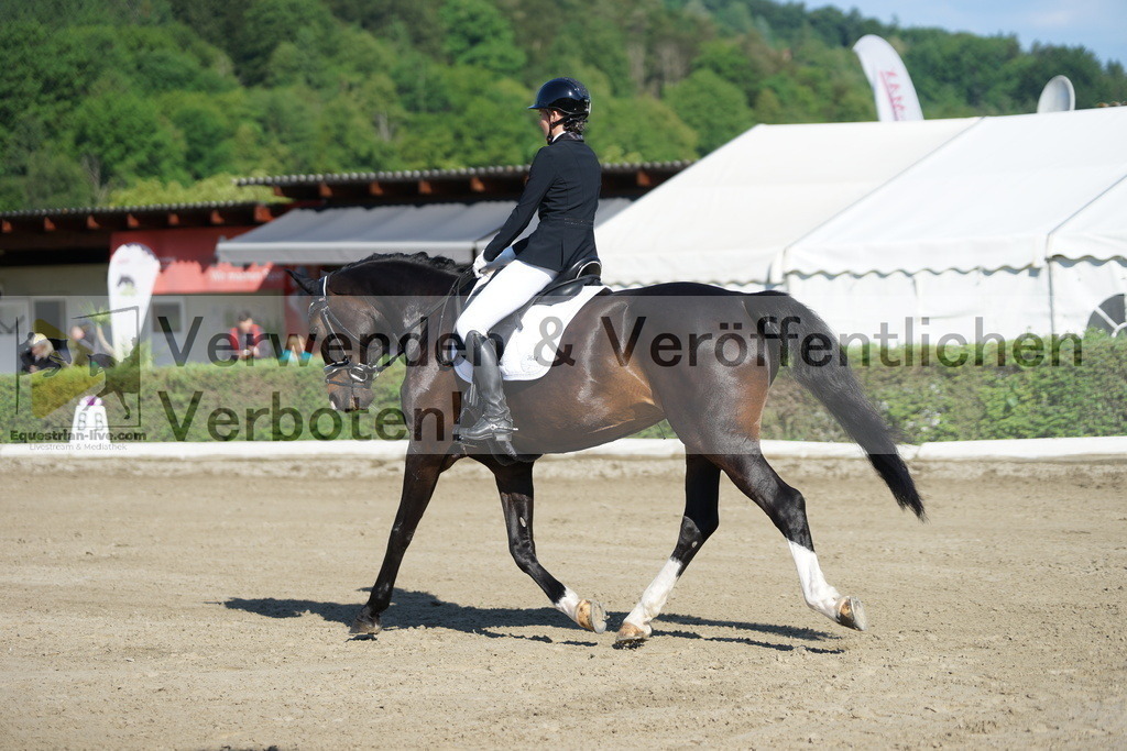 DSC04147 | equestrian-live-com