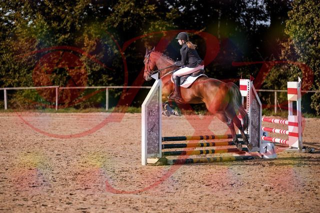 2026_10_03_Siefer-Hof_161012_Z81_89503016 | Professionelle Reitsport-, Turnier- und Eventfotografie von Robert Broda. Galerien mit ausgewählten und bearbeiteten Bildern direkt online ansehen und bestellen.