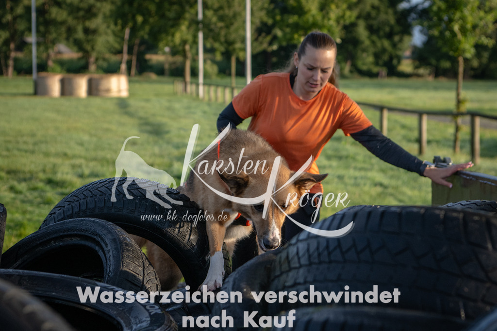 0808_ZZ90425 | kk-dogfotos