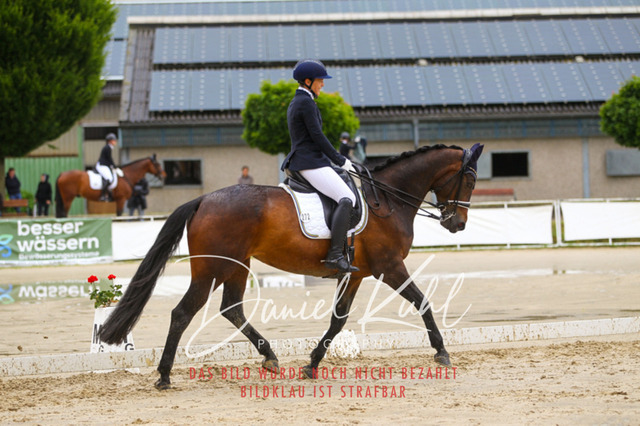 DKP40427 | Turniersportfotografie; Pferdefotografie; Dressurfotografie