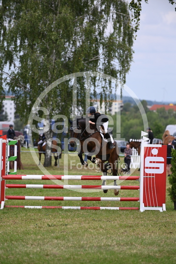 DSC_1806 | sattelsport - Realisiert mit Pictrs.com