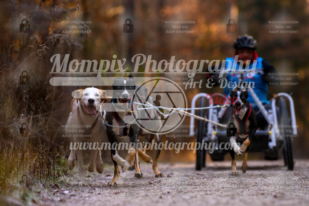 MompixPhotography_DM_AKDM_SO_2025_Wagen-67 | PayLife