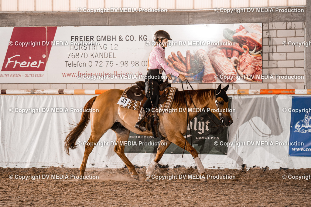 ZH200493 | dv-media-shop - Realisiert mit Pictrs.com