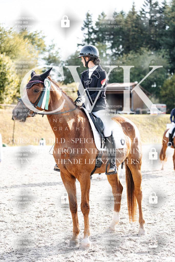 CK901763 | Turnierfotografie Pferdefotografie Trier Rheinland-Pfalz Pferdesport Reitsport Tierfotografie Sportfotografie Pferdevideo Pferdevideografie Equestrianvideography equestrianphotography  - Realisiert mit Pictrs.com