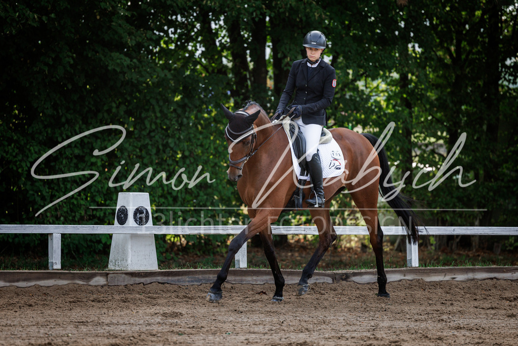 20260905-_3LI6934 | Tierfotografie Pferde, Hunde, Katzen, Haustiere.
Turnierfotografie Reitturniere, Reiten, Springreiten, Dressur in Hanau, dem Main-Kinzig-Kreis und dem Rhein-Main- Gebiet um Frankfurt
