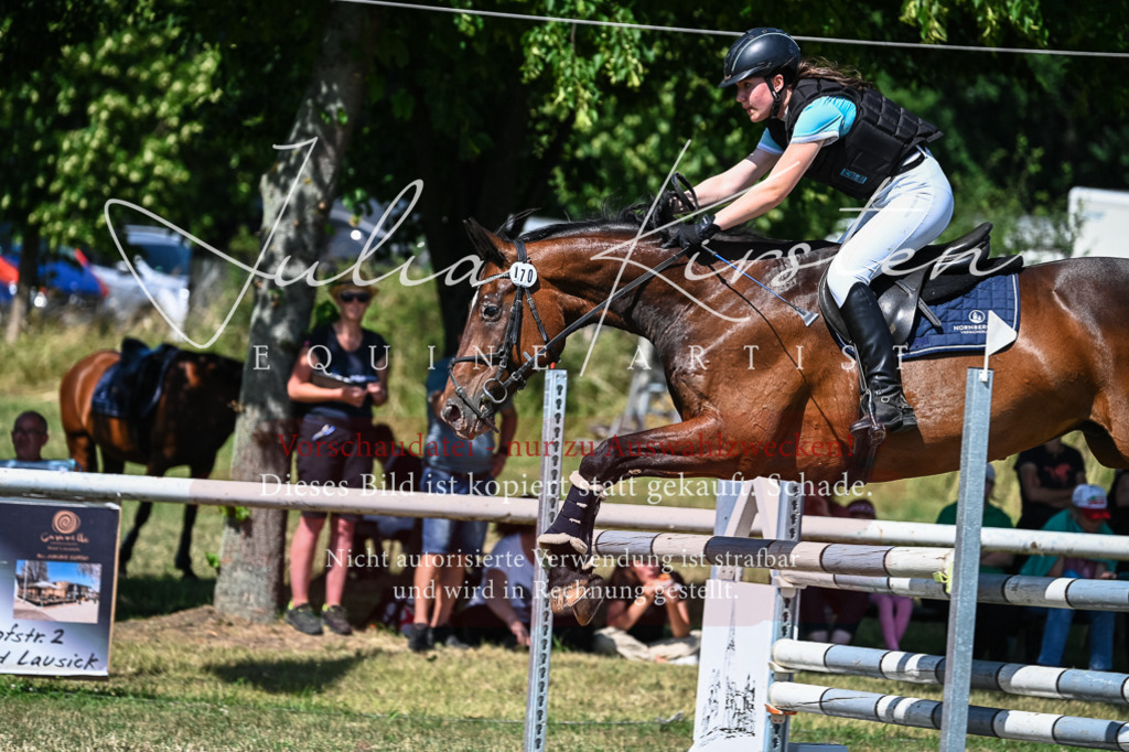 DSC_1489 | Pferde- und Turnierfotografie in Westsachsen. Pferdeportraits, Auftragszeichnungen und intuitive Kunst.