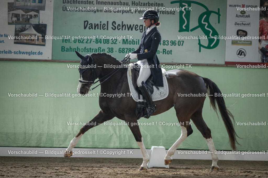 _D5A4983 | Emotionale Pferde- & People-Fotografie rund um Heidelberg, Leimen & Umgebung. Natürliche Fotos von Pferd, Mensch & Familie. Jetzt Termin sichern!