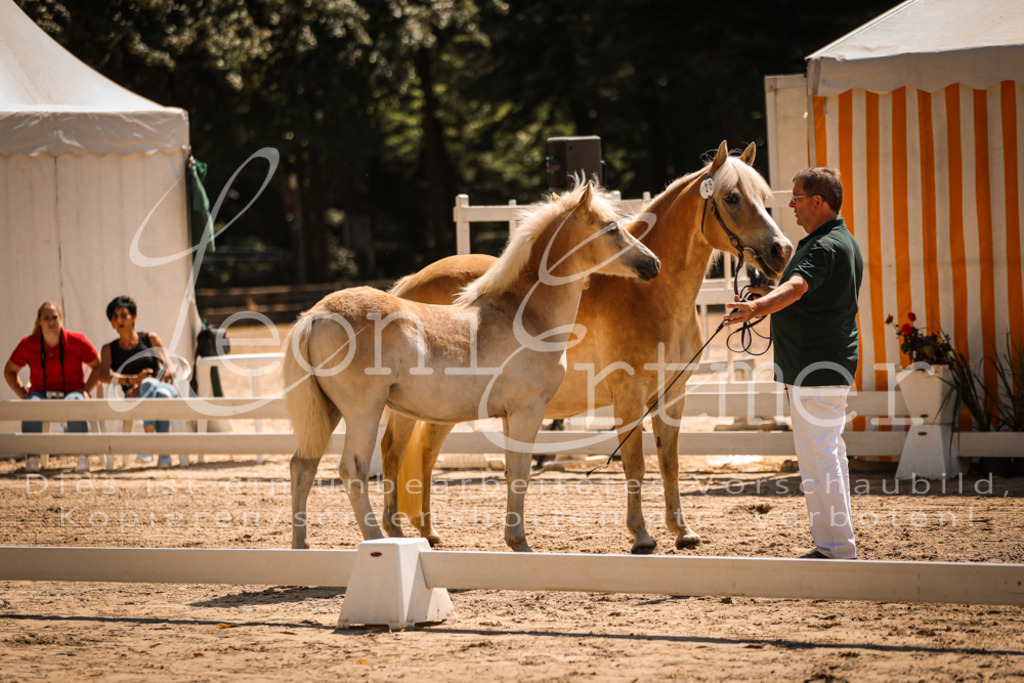 06.DoH00040 | Leoni Ertmer Photography - Realisiert mit Pictrs.com