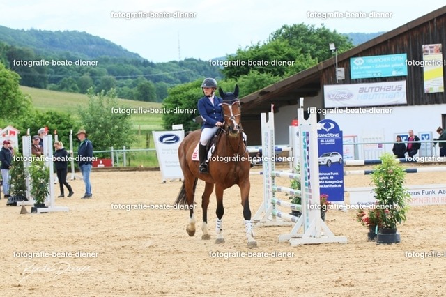 OHT1661 | Fotografie, Tiere, Hunde, Katzen, Pferde, Sportfotografie, Fotosession, Tierfotografie, Turnierfotografie, Fotografin, Fotograf - Realisiert mit Pictrs.com