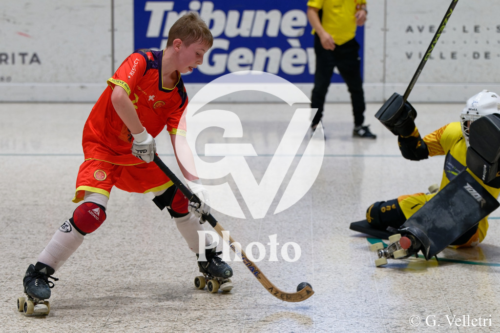 DSC_3653 | Velletri Photo