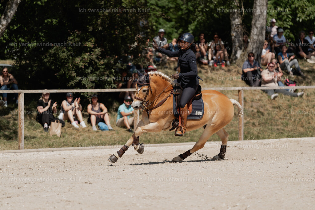 WE_SP_Stoib_308_PI2025_1633 | Pferd International München 2025