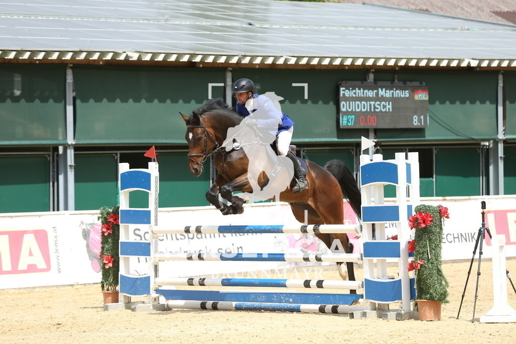 DL2Q6096 | Willkommen bei Brunnmayr - Design & Fotografie – Ihrem Spezialisten für Reitturniere und Pferdeveranstaltungen in Oberösterreich, Salzburg und Bayern! Seit über 17 Jahren sind wir leidenschaftlich dabei.