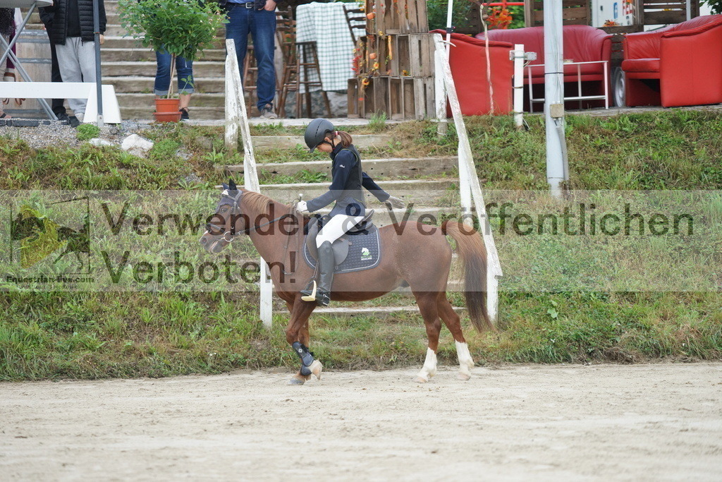 DSC09810 | equestrian-live-com