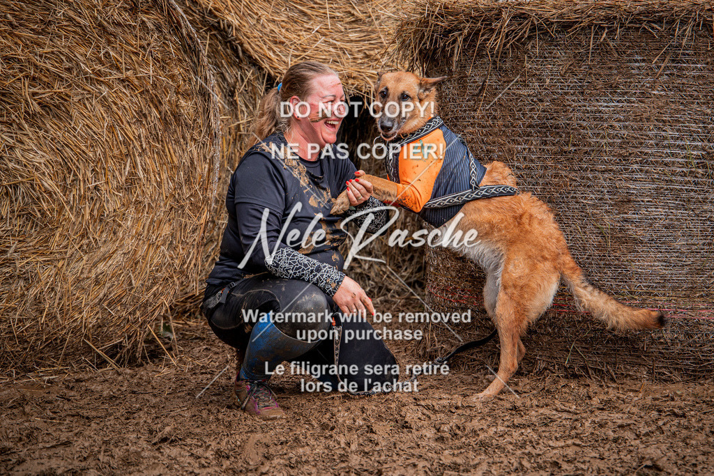 nelerasche_Hunsrück_So09-11_356 | nelerasche