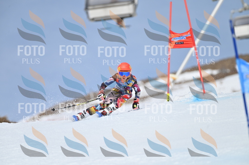 BGV_1475 | holidayphoto