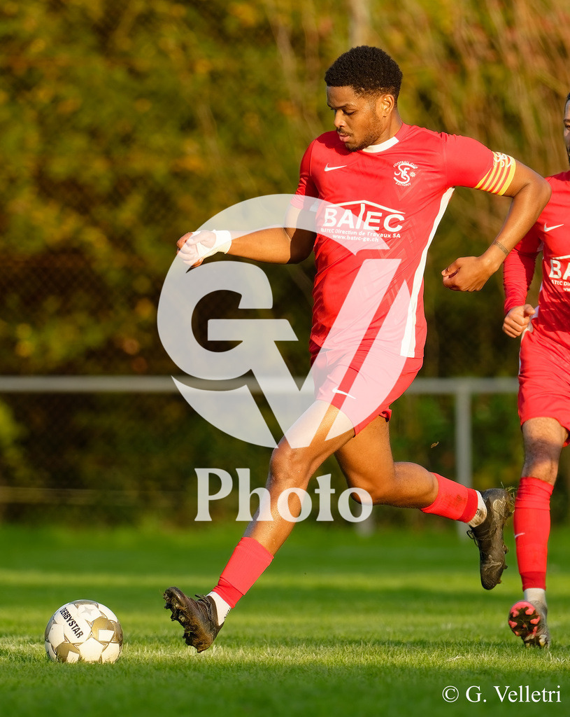 DZ9_1578 | Velletri Photo