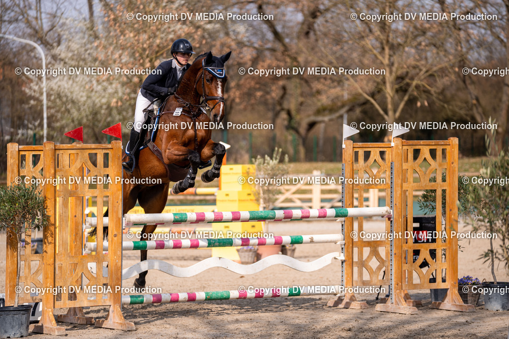 Kranichstein Tag 2-1502 | dv-media-shop - Realisiert mit Pictrs.com