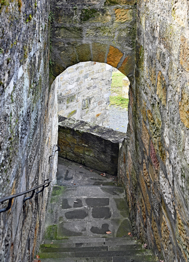 Burg-Königsberg01h | lucisnaturbilder - Realisiert mit Pictrs.com