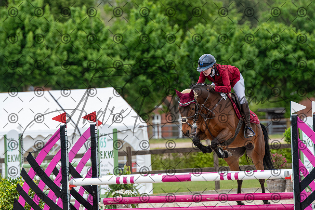 KPT_8285 | andre_photographic