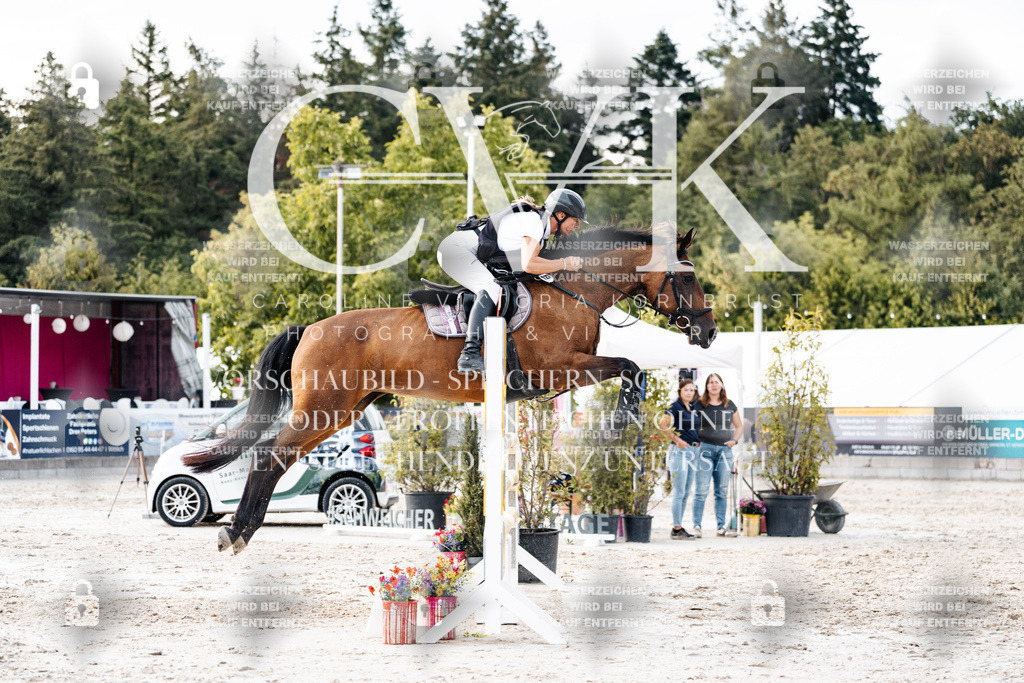 CK904042 | Turnierfotografie Pferdefotografie Trier Rheinland-Pfalz Pferdesport Reitsport Tierfotografie Sportfotografie Pferdevideo Pferdevideografie Equestrianvideography equestrianphotography  - Realisiert mit Pictrs.com