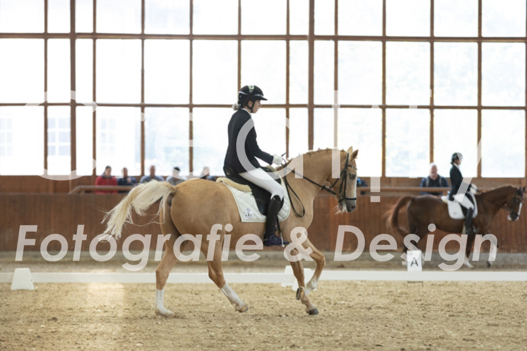 IMG_1325 | Creatify Fotografie