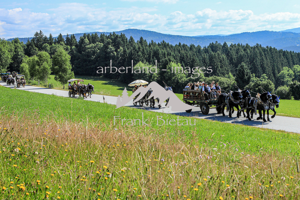 OE7A9754 | Medien- Sport- Entertainmentfotos