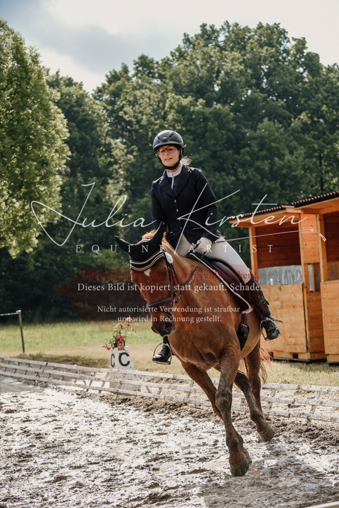 DSC_8899 | Pferde- und Turnierfotografie in Westsachsen. Pferdeportraits, Auftragszeichnungen und intuitive Kunst.