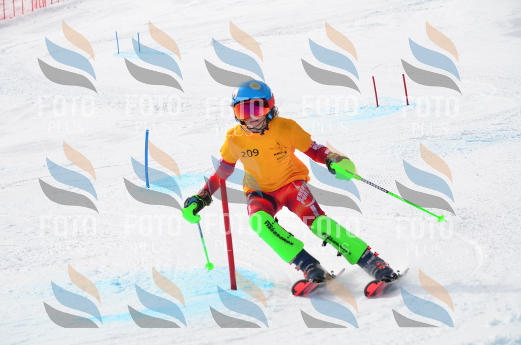 C8172 | holidayphoto