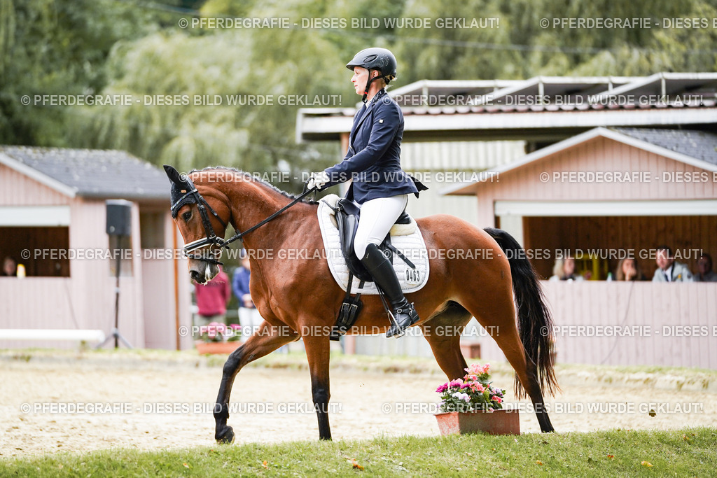 DSC01460 | Pferdegrafie