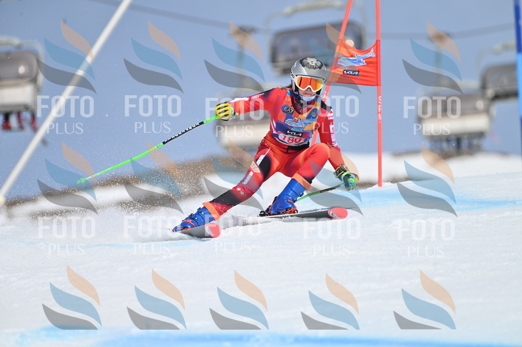 BGV_0610 | holidayphoto