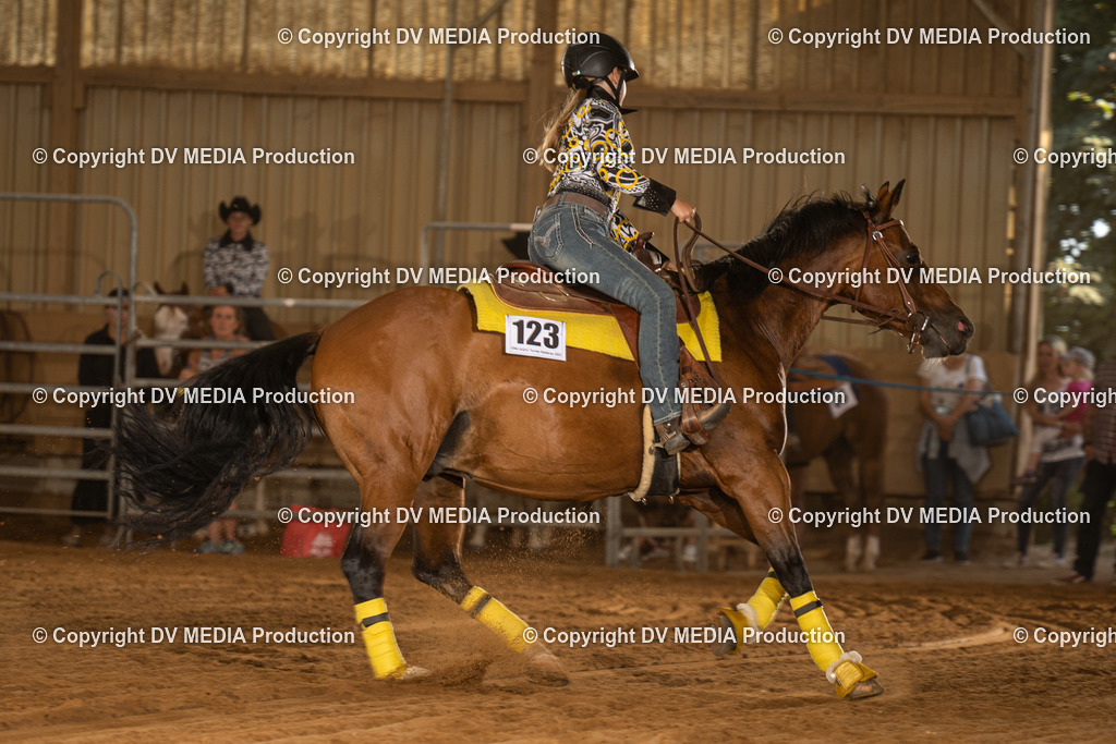 NID03831 | dv-media-shop - Realisiert mit Pictrs.com