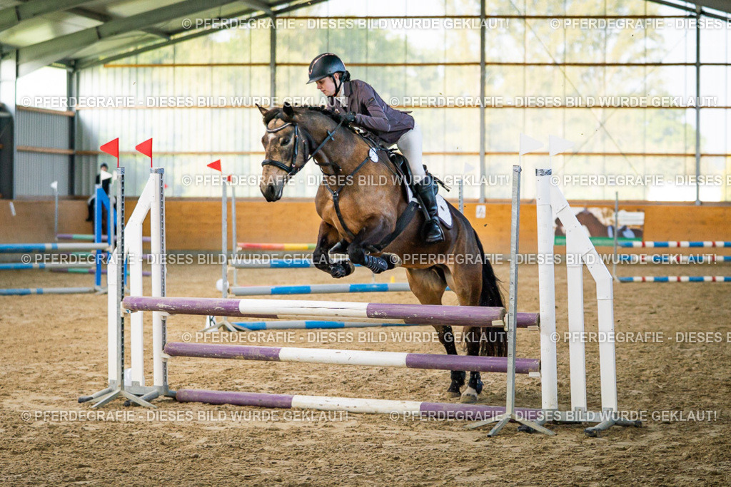 DSC00586 | Pferdegrafie