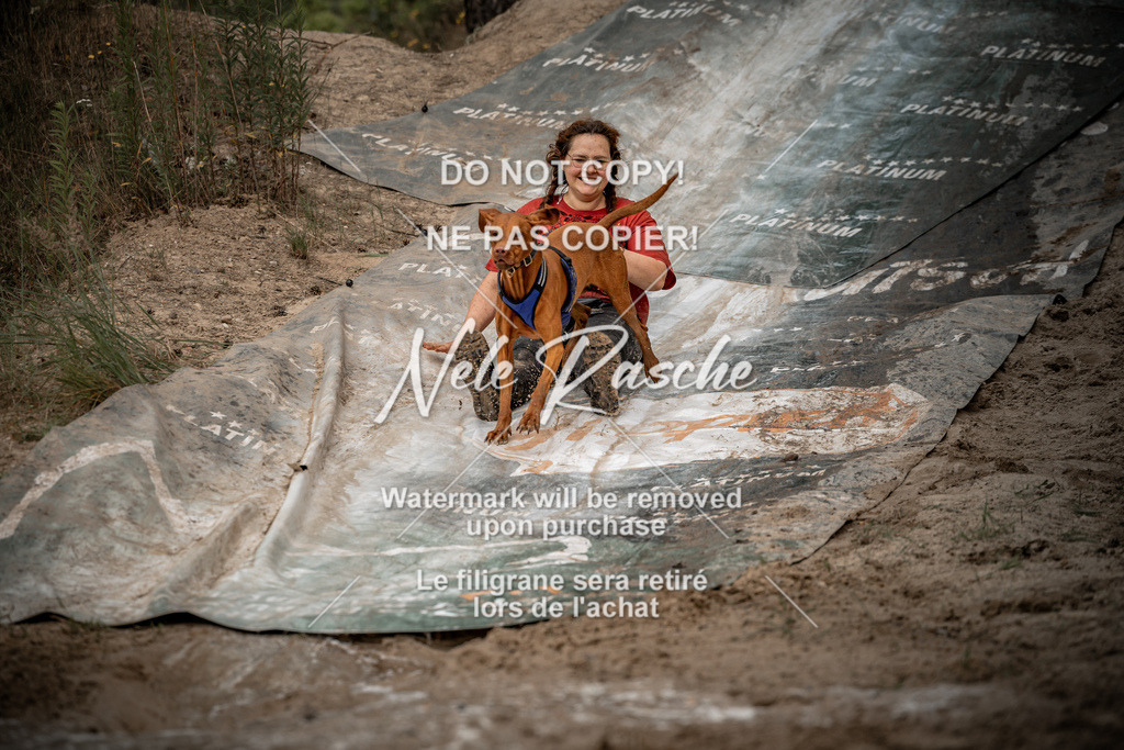 nelerasche_sa1100-1200_466 | nelerasche