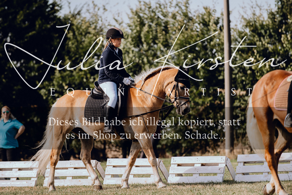 DSC_6945 | Pferde- und Turnierfotografie in Westsachsen. Pferdeportraits, Auftragszeichnungen und intuitive Kunst.