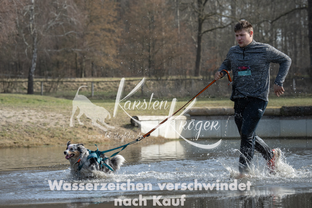1139_ZZ95384-3 | kk-dogfotos